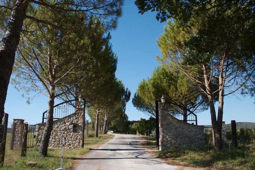 Agriturismo Collepina Amelia Esterno foto