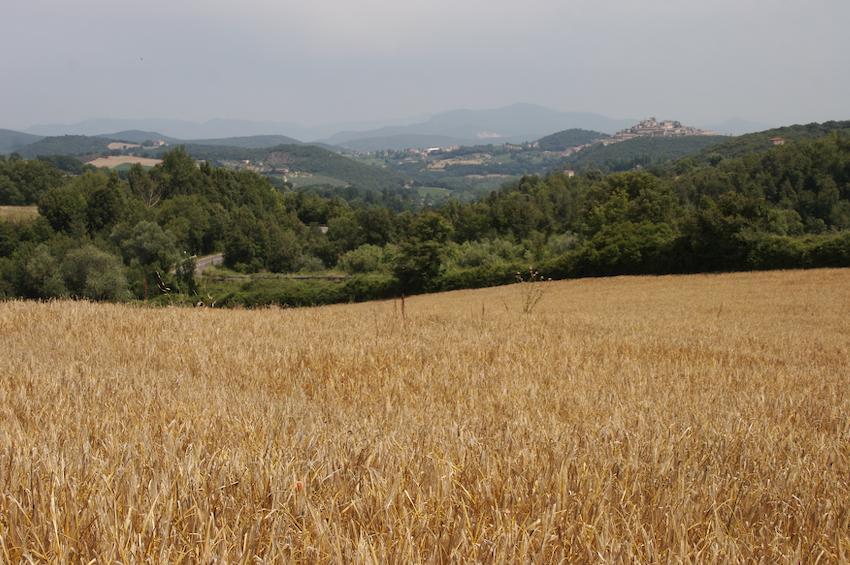 Agriturismo Collepina Amelia Esterno foto