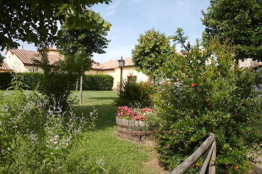 Agriturismo Collepina Amelia Esterno foto