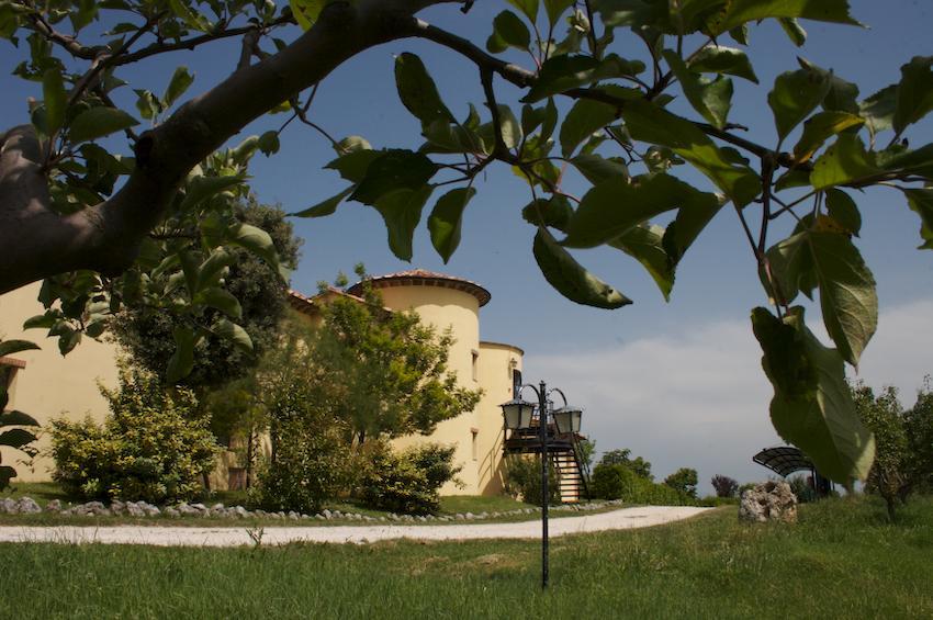 Agriturismo Collepina Amelia Esterno foto