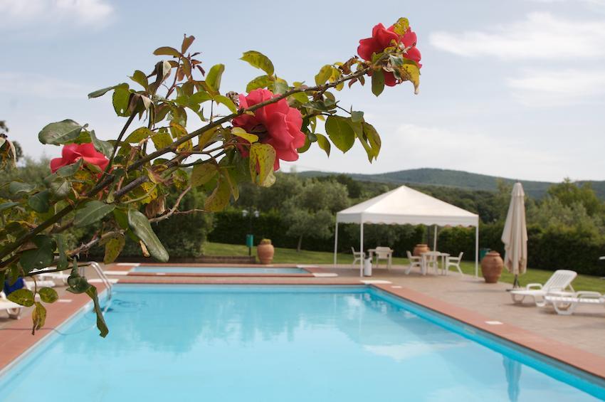 Agriturismo Collepina Amelia Esterno foto