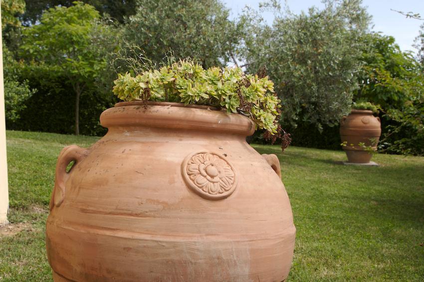 Agriturismo Collepina Amelia Esterno foto