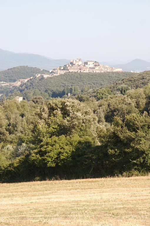 Agriturismo Collepina Amelia Esterno foto